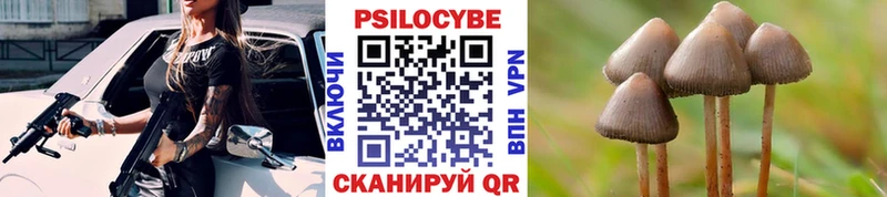 MEGA рабочий сайт  Фокино  Псилоцибиновые грибы Cubensis 